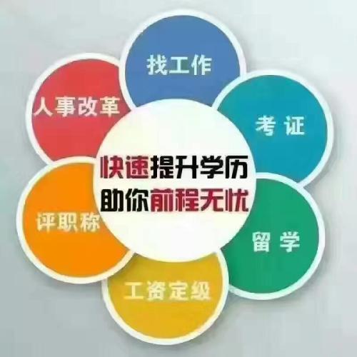 网络教育本科